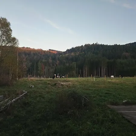 Ferme De Martimpre * Gerbépal