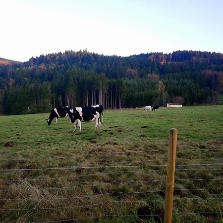 Feriehus Ferme De Martimpre